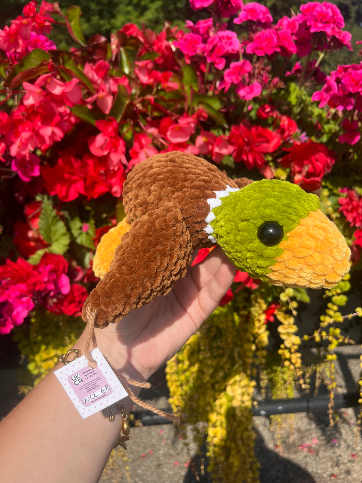 Delilah the Duck