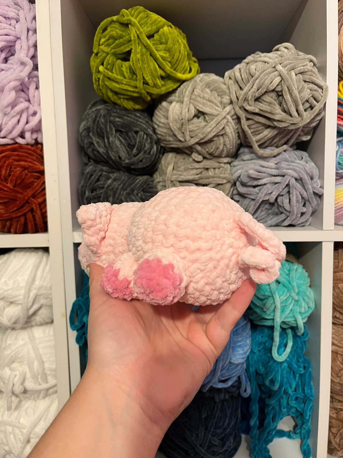 Prudence the Pig