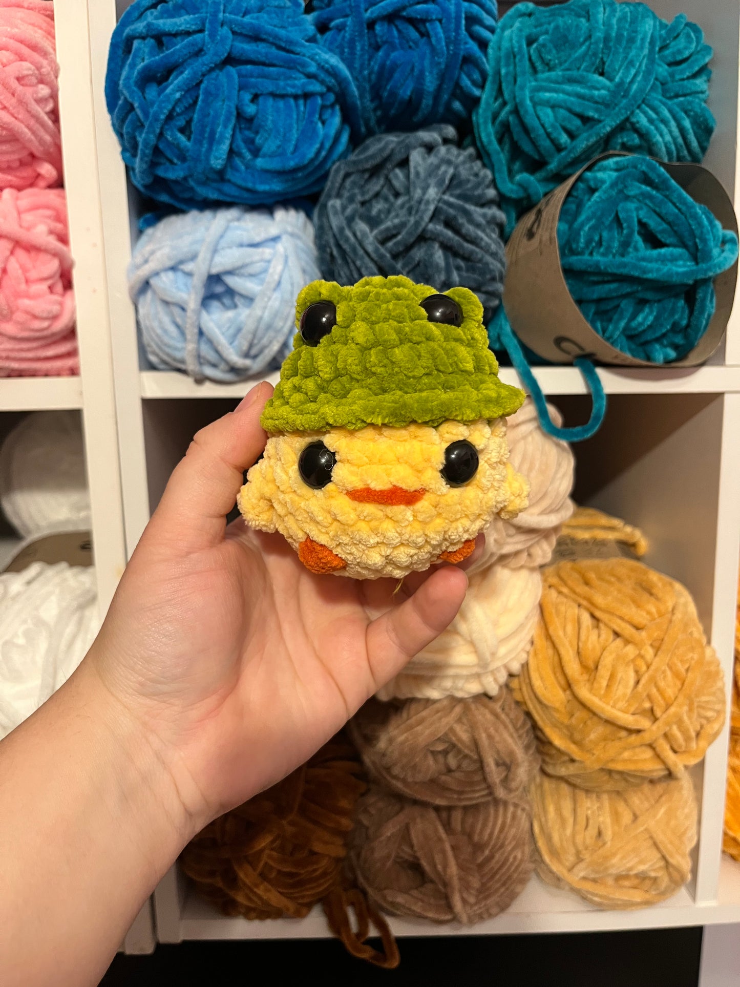 Daffodil the Duck