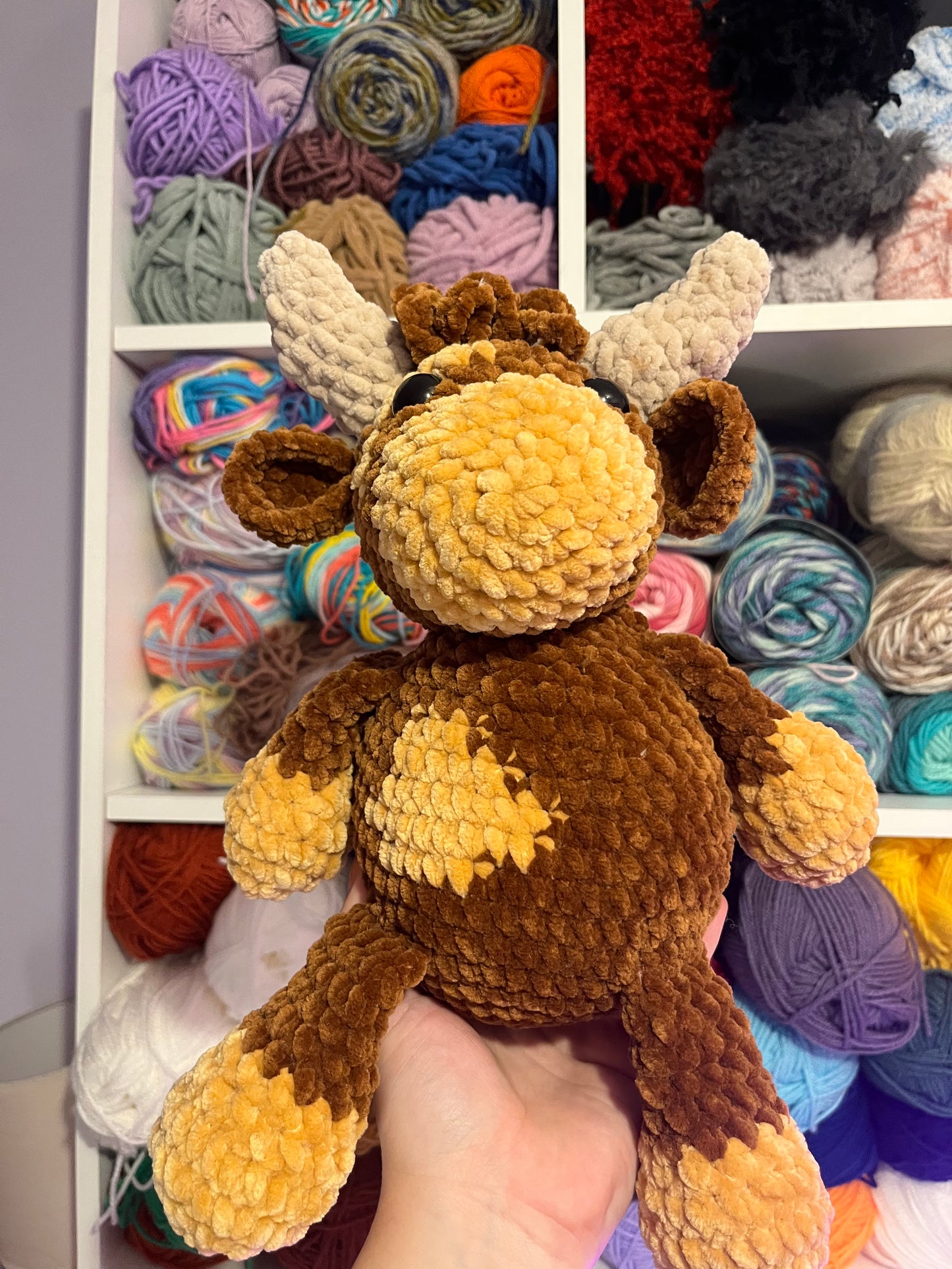 Helen the Highland Cow