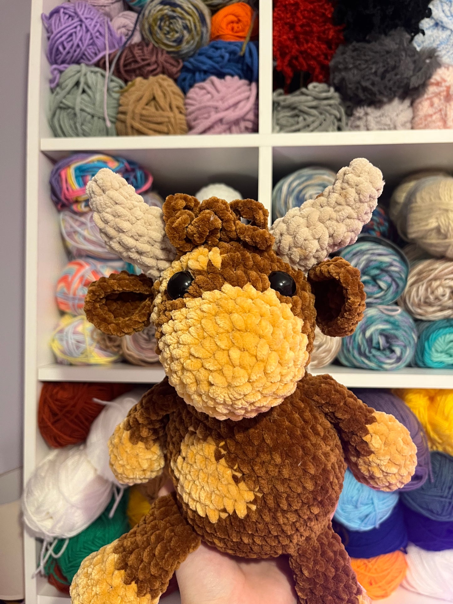 Helen the Highland Cow
