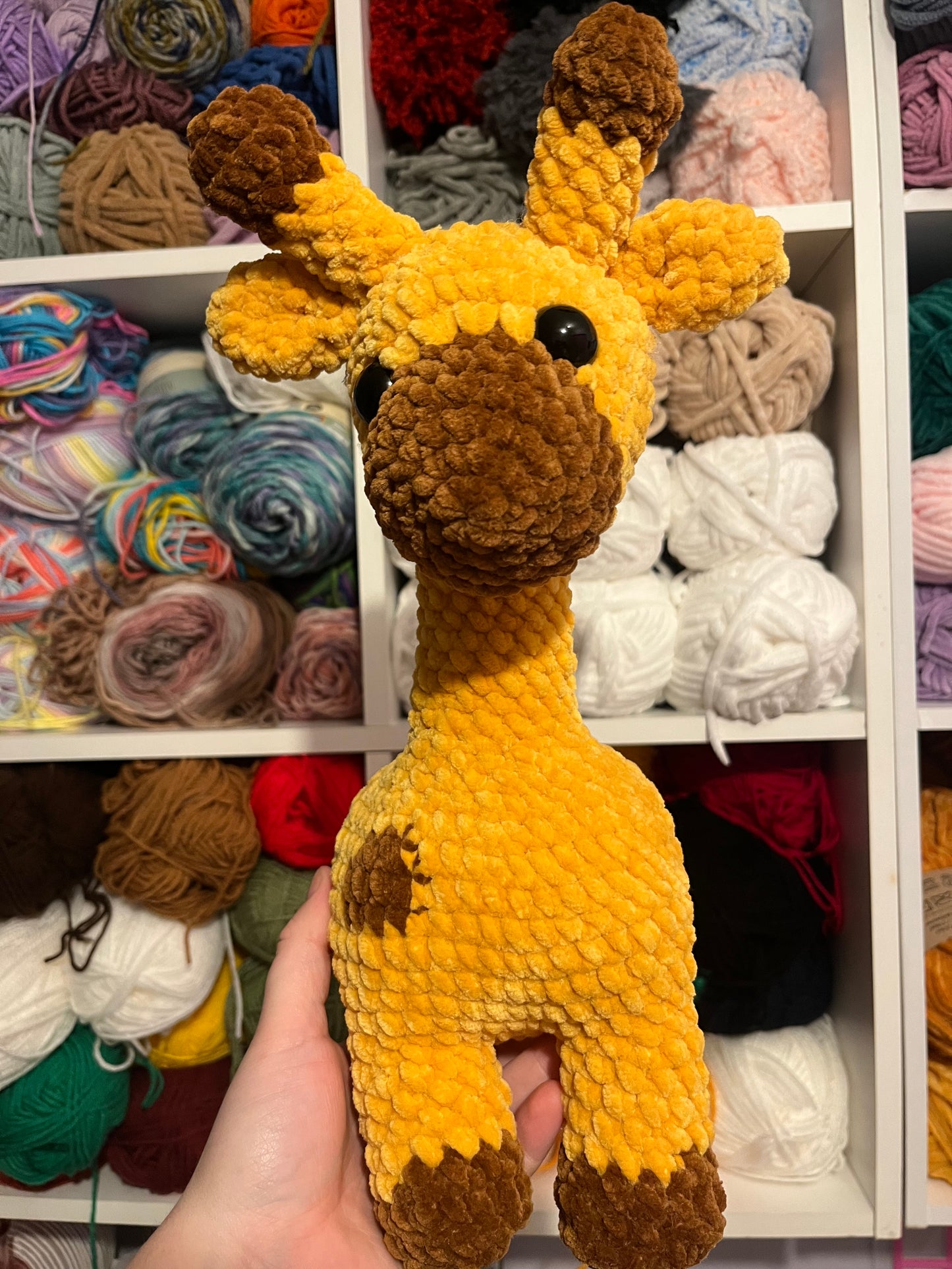 Georgina the Giraffe