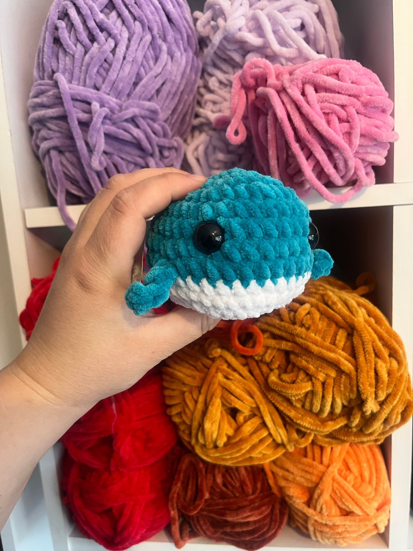 Winnie Whale