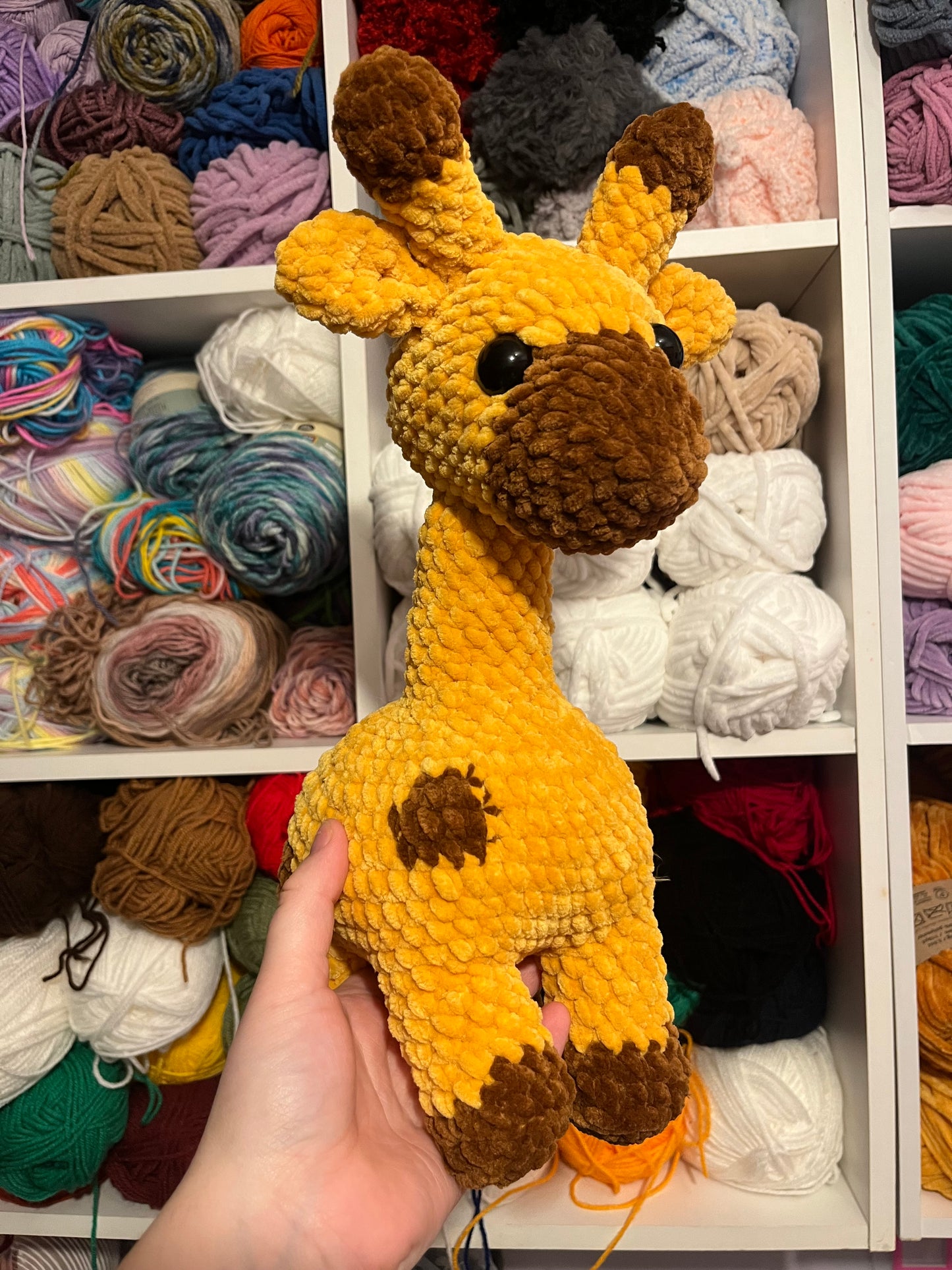 Georgina the Giraffe
