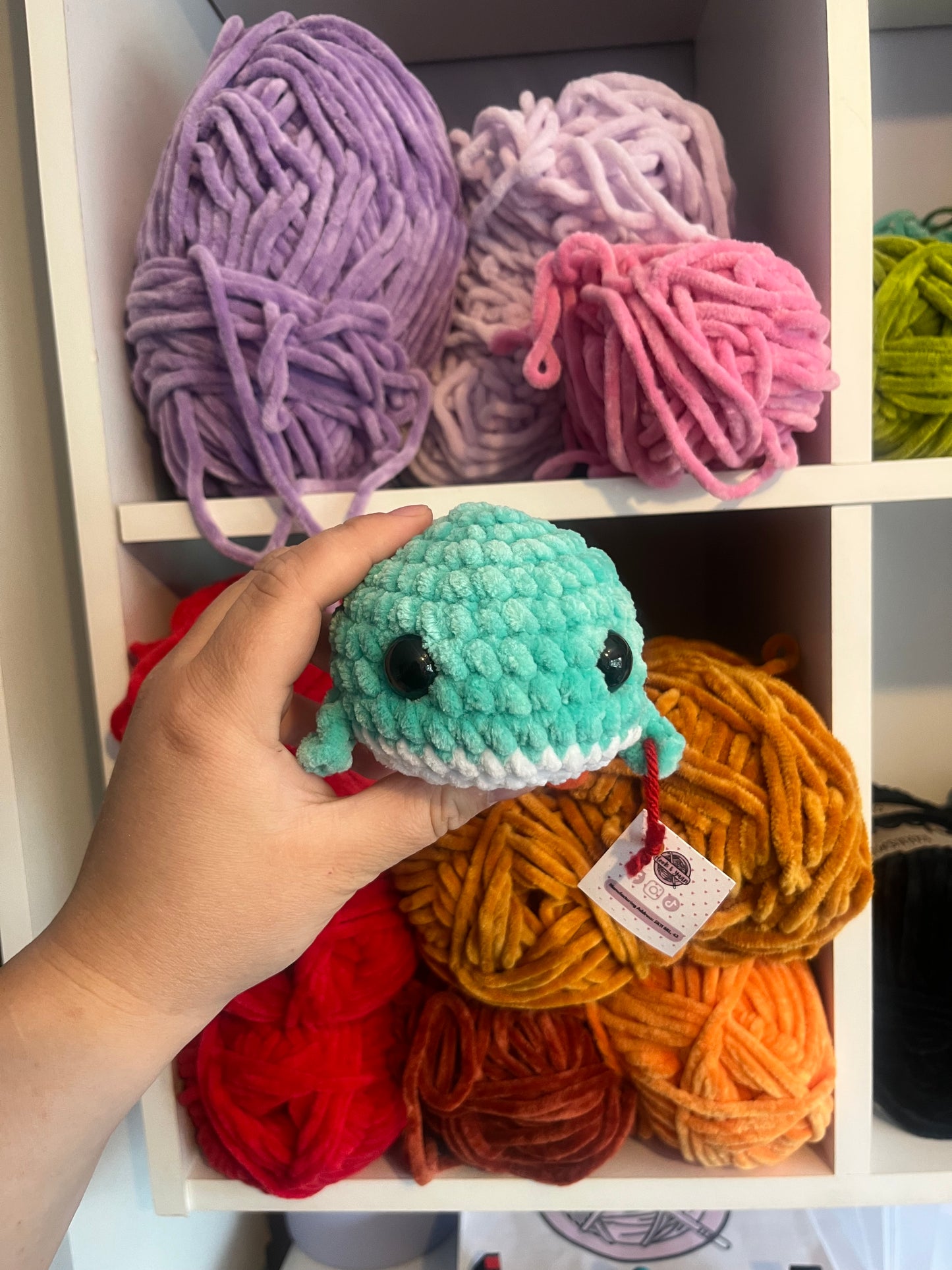 Winnie Whale