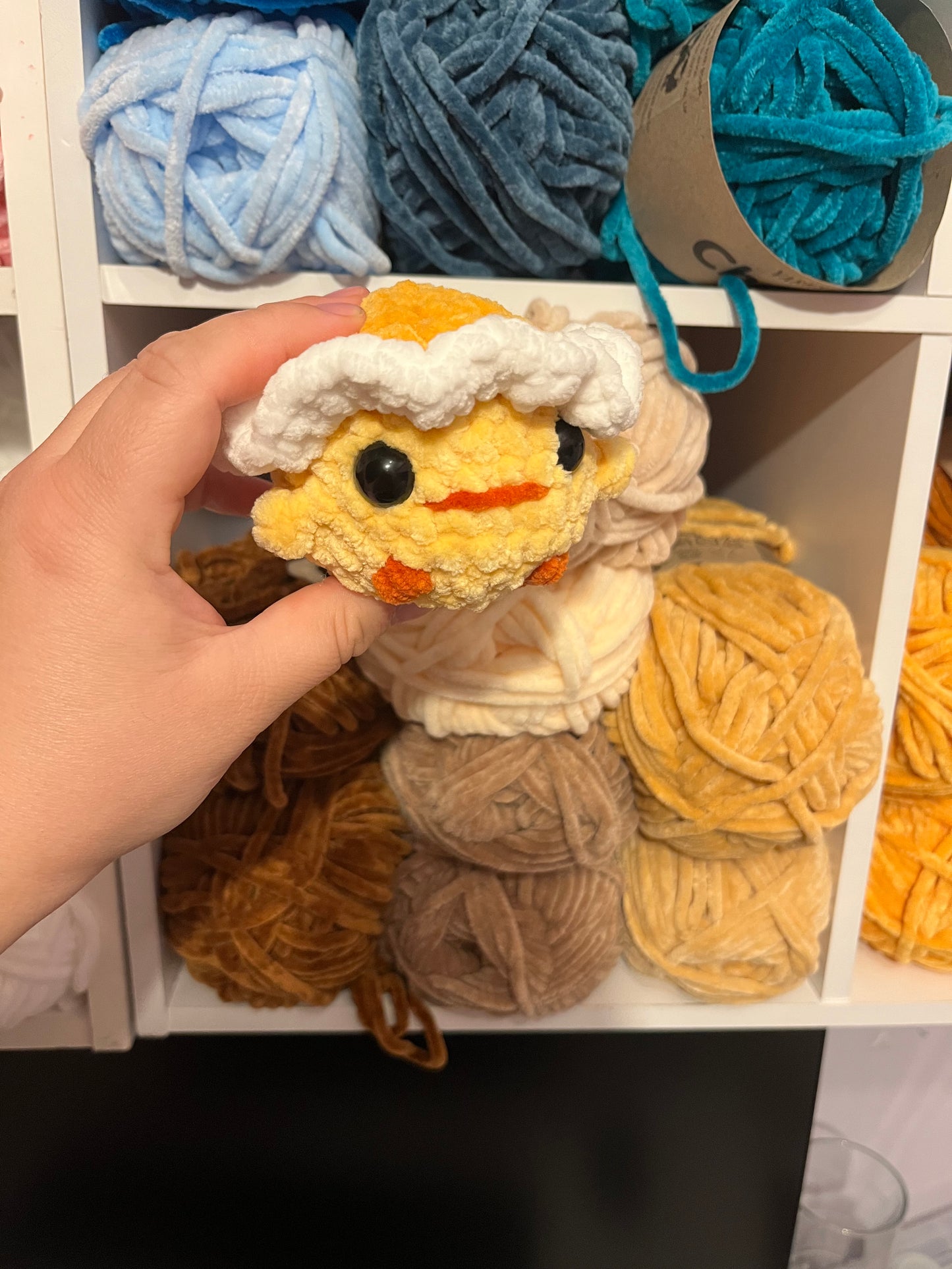 Daffodil the Duck