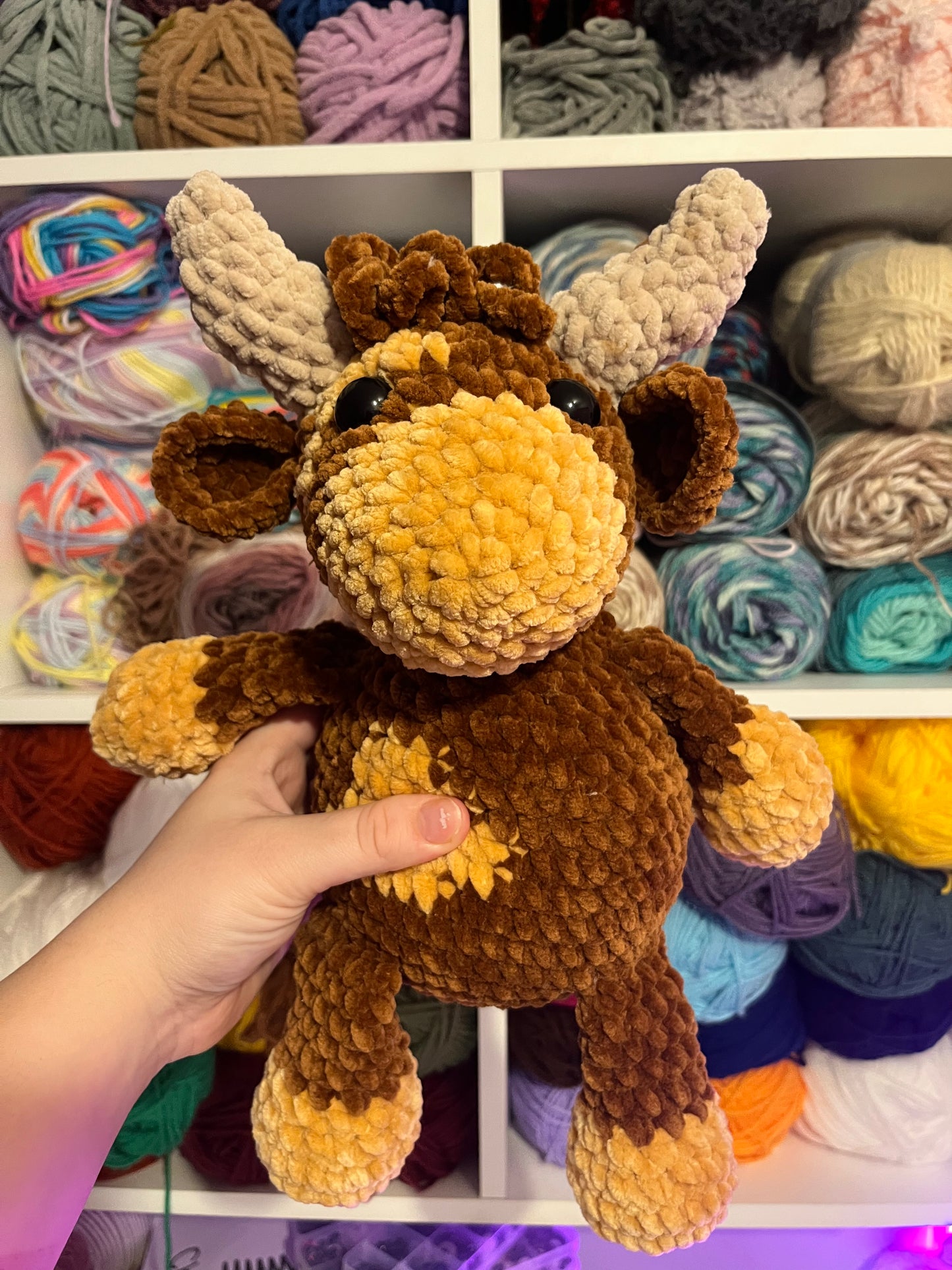 Helen the Highland Cow