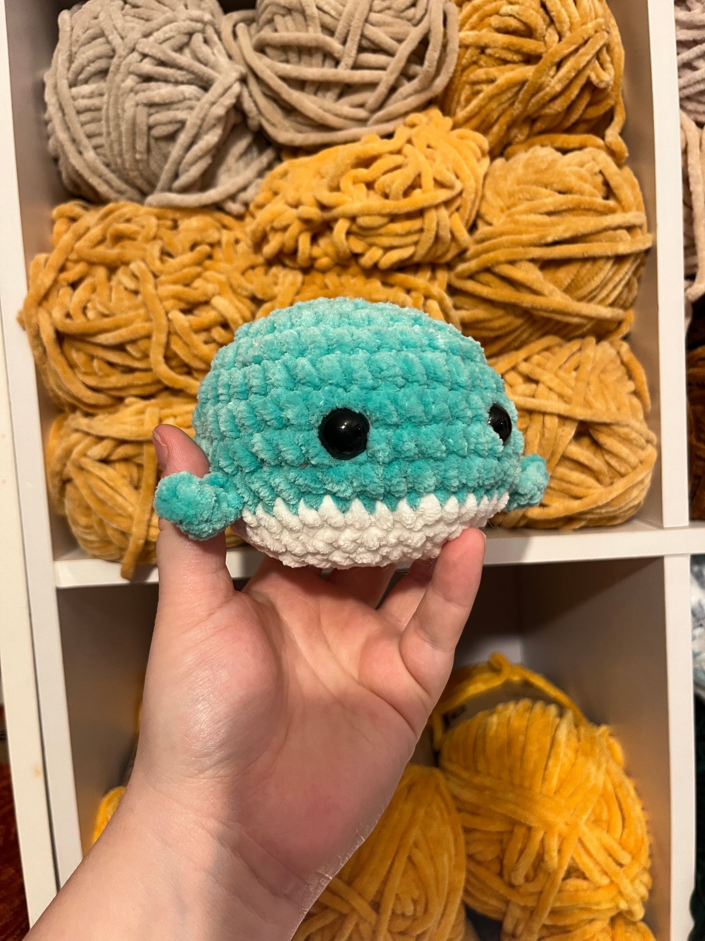Winnie Whale