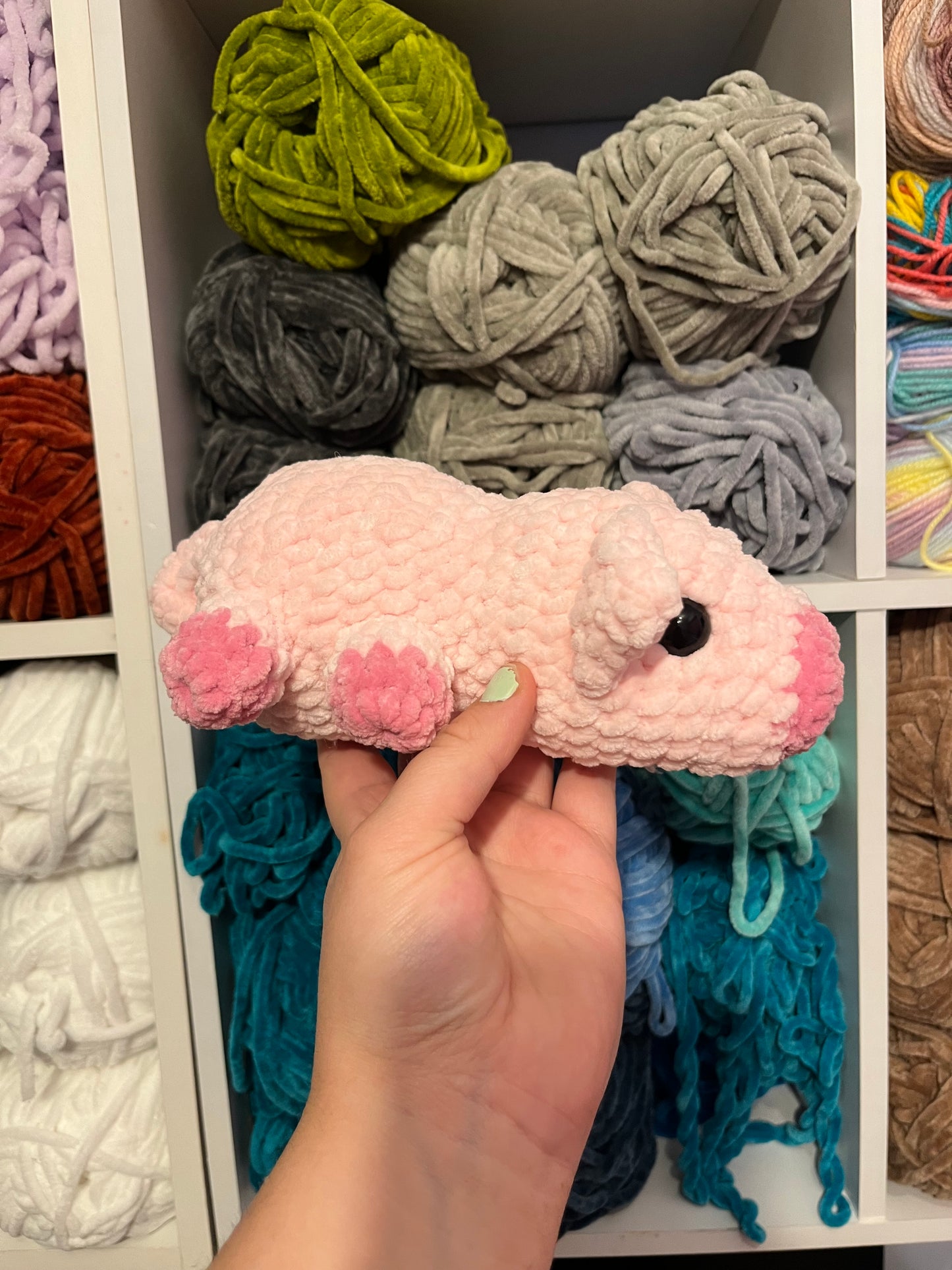 Prudence the Pig
