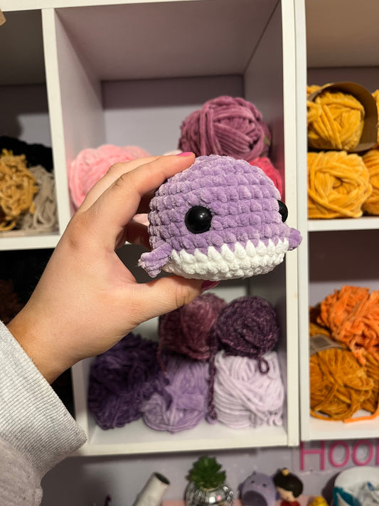 Winnie Whale