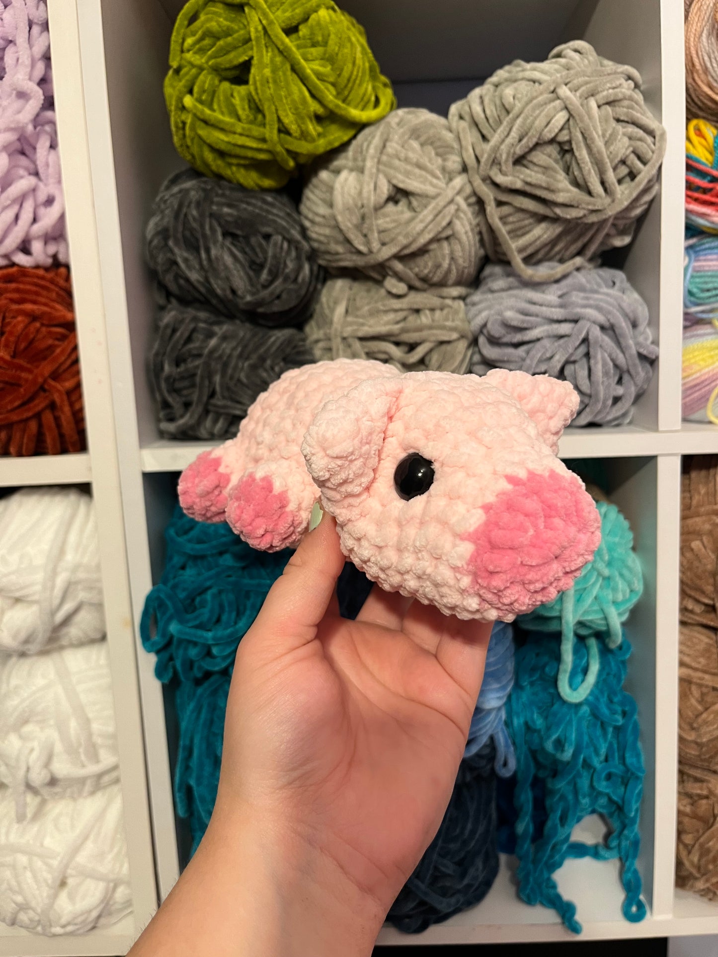 Prudence the Pig