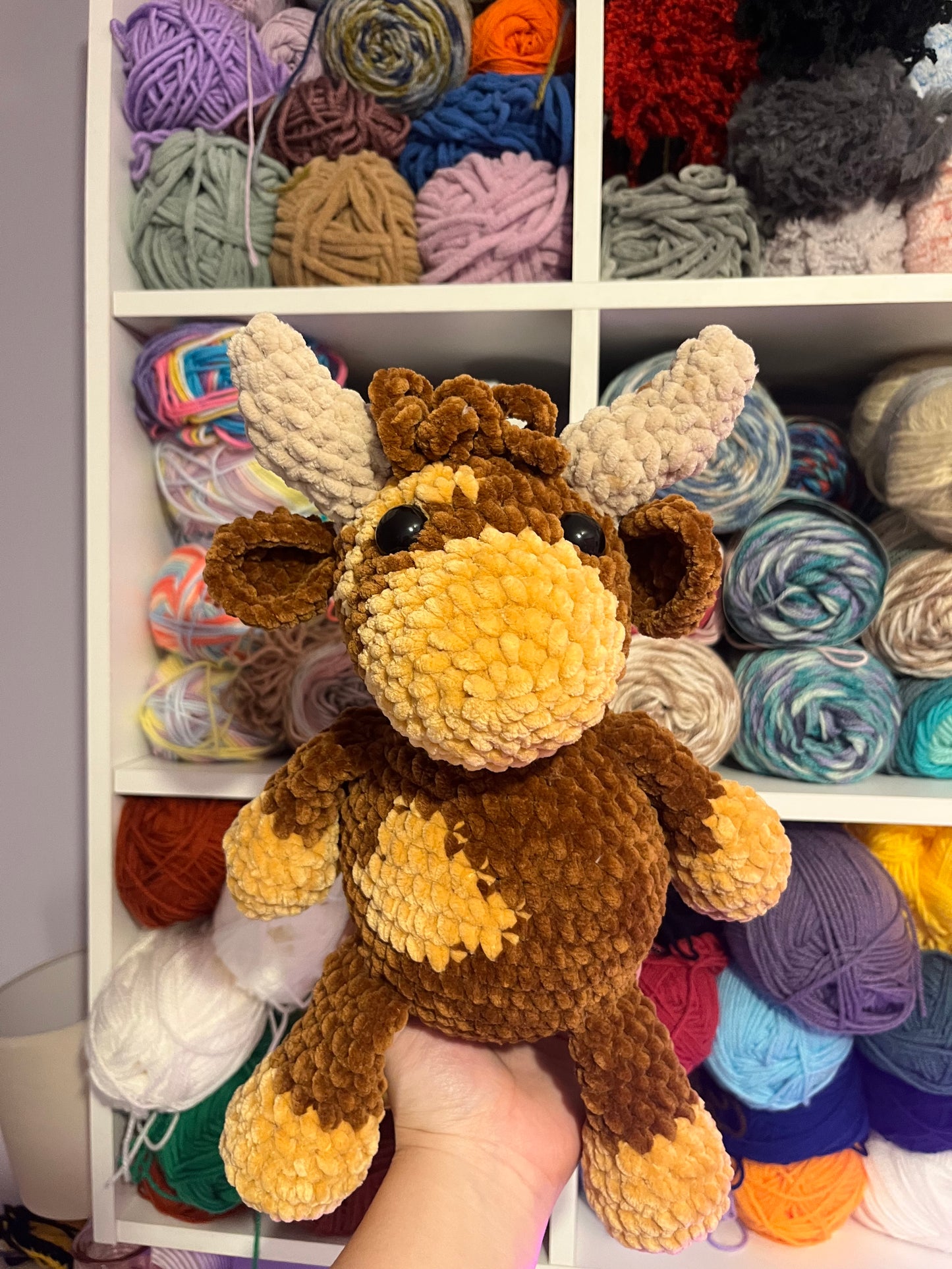 Helen the Highland Cow