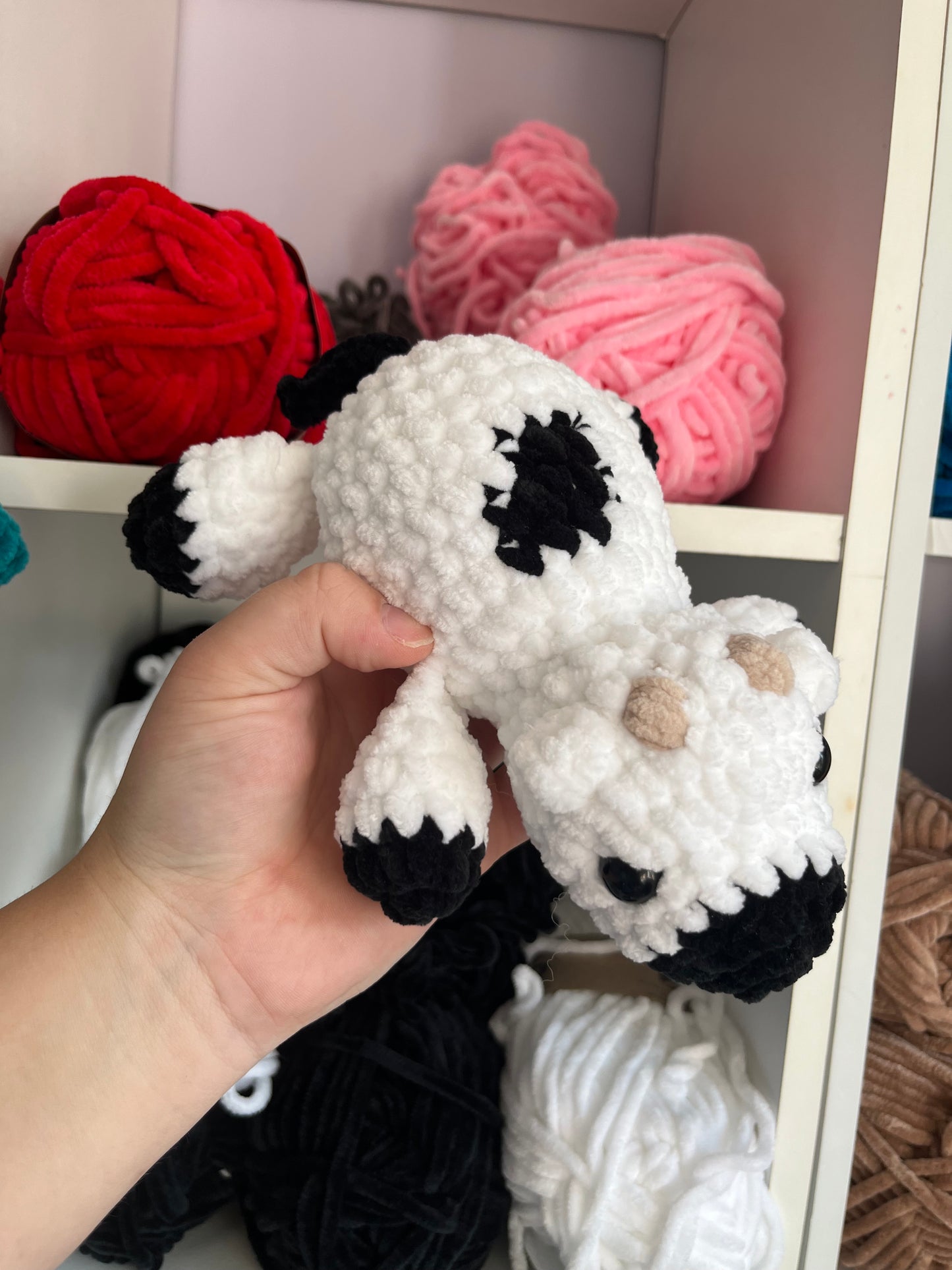 Cora the Cow